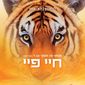 Poster 28 Life of Pi