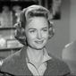 The Donna Reed Show/The Donna Reed Show
