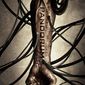 Poster 6 Pandorum