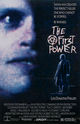 Film - The First Power