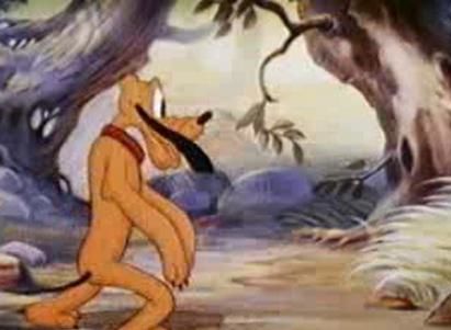 The Pointer