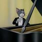Foto 10 The Cat Concerto