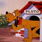 Foto 29 Pluto's Blue Note