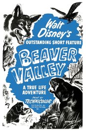 Poster Beaver Valley