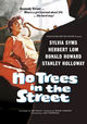 Film - No Trees in the Street