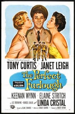 The Perfect Furlough poster