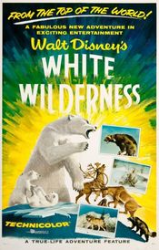 Poster White Wilderness