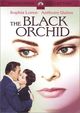 Film - The Black Orchid