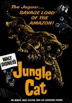 Jungle Cat