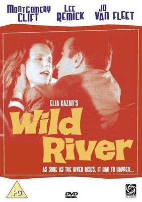 Wild River poster