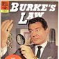 Poster 2 Burke's Law