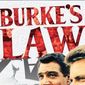 Poster 1 Burke's Law