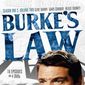 Poster 3 Burke's Law