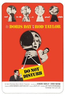 Do Not Disturb poster