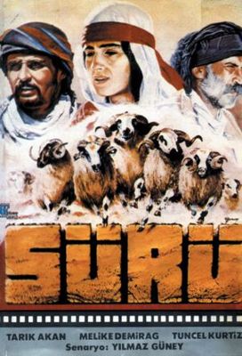 Sürü poster