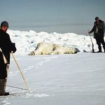 Imagine din galeria filmului Ingenjör Andrées luftfärd