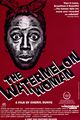 Film - The Watermelon Woman