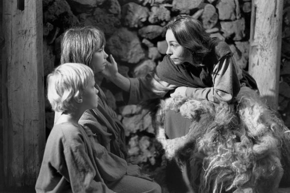 The Juniper Tree