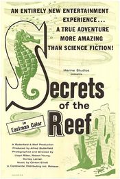 Poster Secrets of the Reef