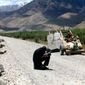 Angry Monk: Reflections on Tibet/Angry Monk: Reflections on Tibet