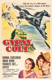 Poster Gypsy Colt