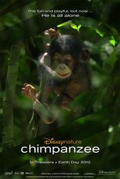 Poster Chimpanzee