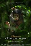 Cimpanzeul