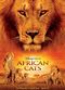 Film African Cats