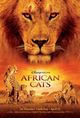 Film - African Cats