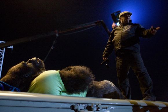 Zookeeper