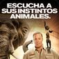 Poster 4 Zookeeper