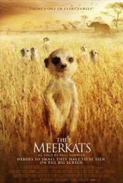 Poster The Meerkats