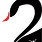 Poster 10 Black Swan