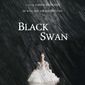 Poster 15 Black Swan