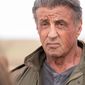 Foto 28 Sylvester Stallone în Rambo: Last Blood