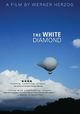 Film - The White Diamond