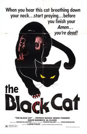 Poster Black Cat (Gatto nero)