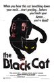 Film - Black Cat (Gatto nero)
