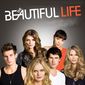 Poster 1 The Beautiful Life: TBL