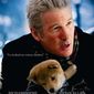 Poster 11 Hachiko: A Dog's Story