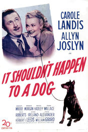 Poster It Shouldn't Happen to a Dog