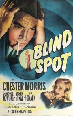 Blind Spot poster