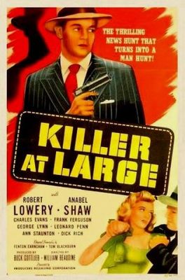 Killer at Large poster