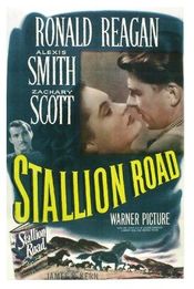 Poster Stallion Road