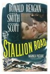 Stallion Road