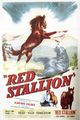 Film - The Red Stallion