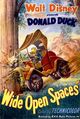 Film - Wide Open Spaces