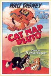 Poster Cat Nap Pluto