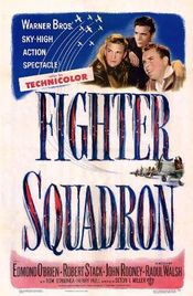 Poster Fighter Squadron