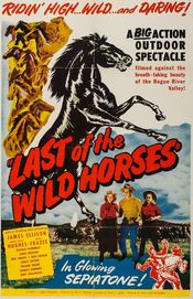 Poster Last of the Wild Horses